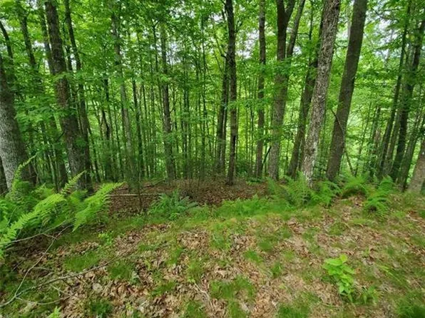 141 River Club Trl #8, Marshall, NC 28753