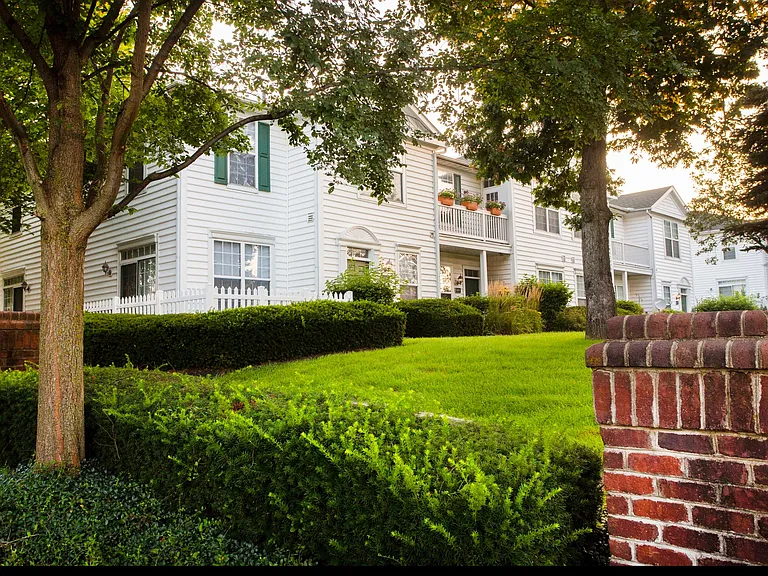 Chestnut Hill