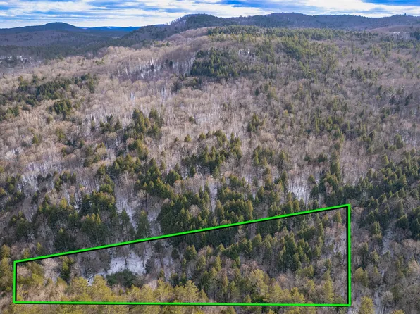 4125 Chester Road, Grafton, VT 05146