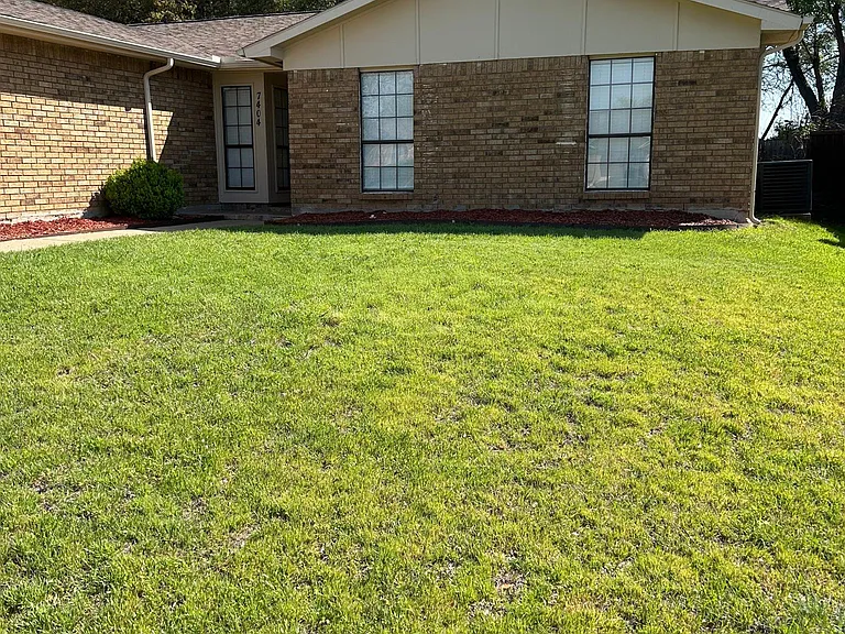 7404 Buttonwood Dr — Photo 22