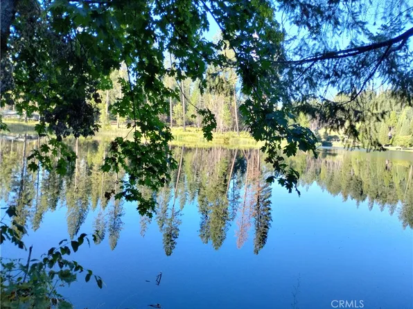 14 Dryad Walk, Berry Creek, CA 95916