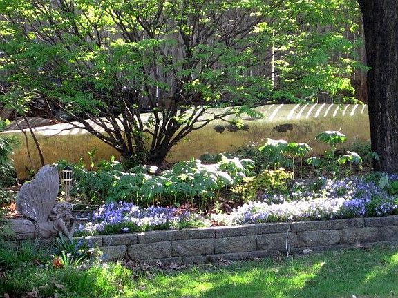 Backyard Southwest Corner