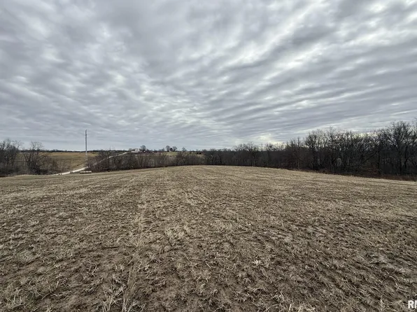 Section #3S-5W-05, Liberty, IL 62347