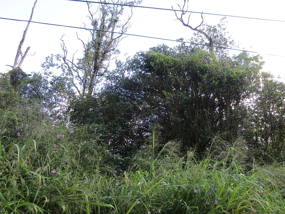 1st image of Silversword Ct Lot 13