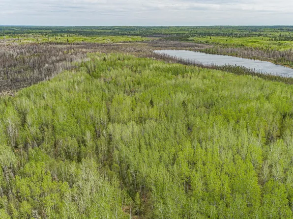 Stony Loop, Isabella, MN 55607