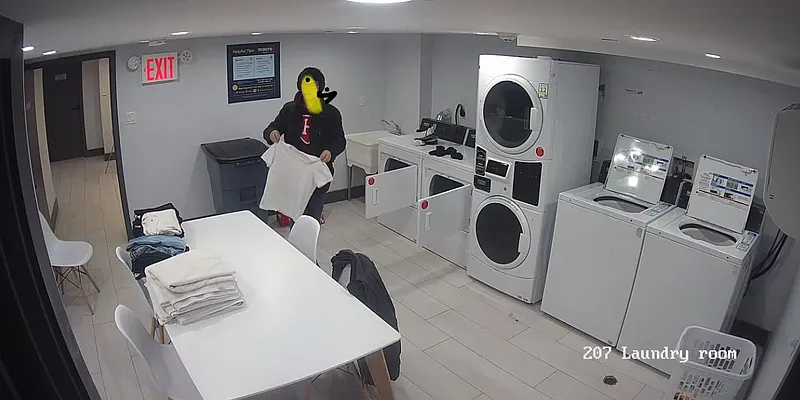 Rented by Brooklyn High Rise LLC | media 8