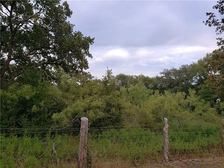 18901 Hog Eye Rd — Photo 9