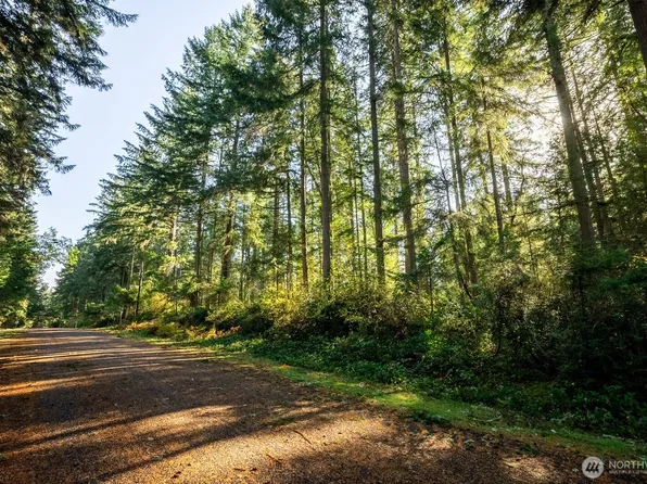 11324 Laurel Place, Anderson Island, WA 98303