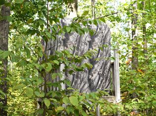 V/l 13ac Brudy Rd, Wolverine, MI 49799