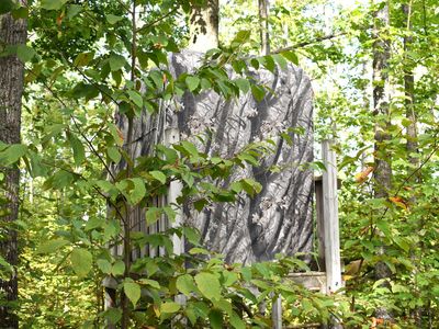 V/l 13ac Brudy Rd, Wolverine, MI, 49799