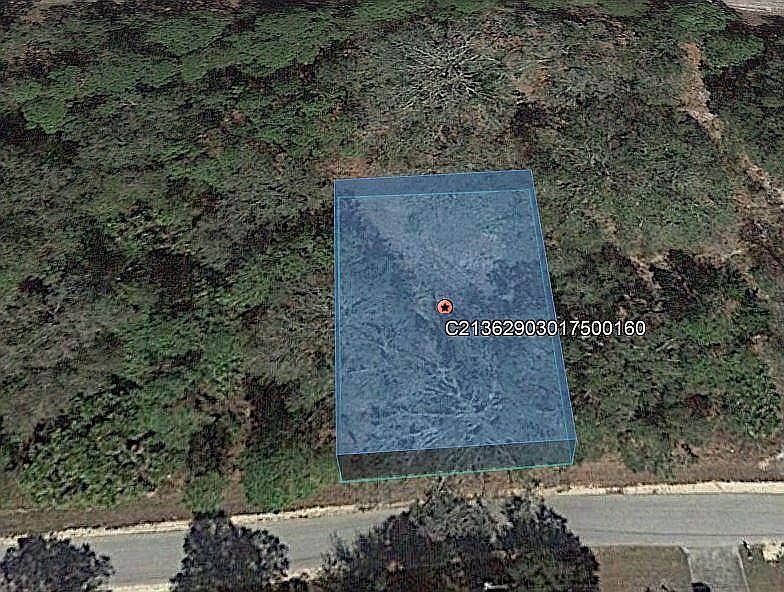2nd image of 3376 Gossamer Ave