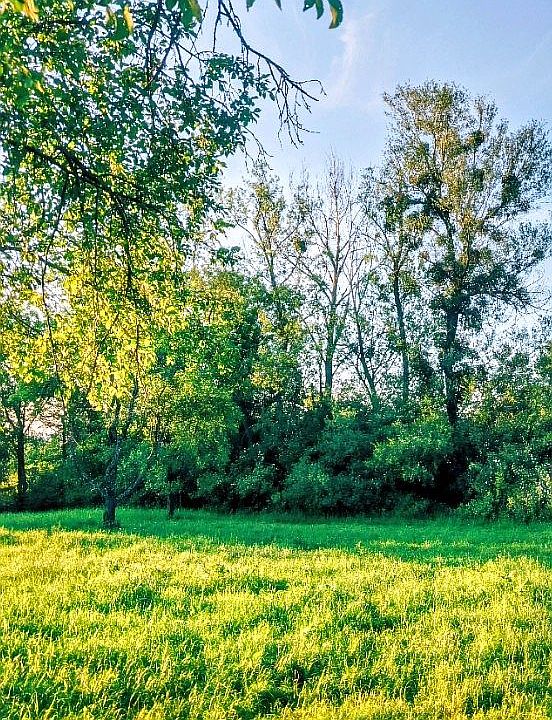 1st image of 0 County Road 487