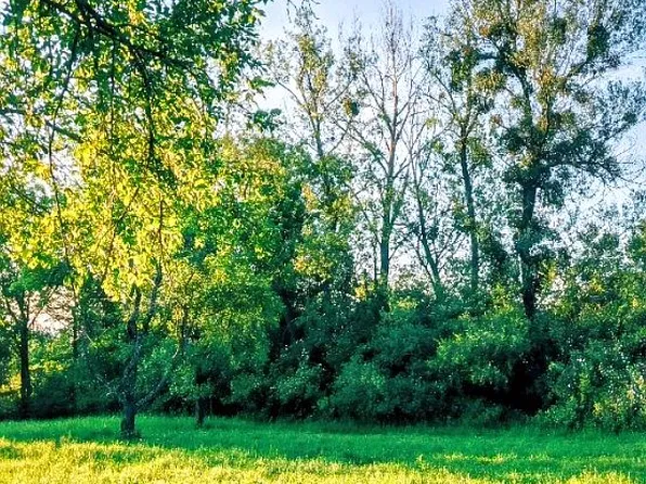 0 County Road 487, Hillman, MI 49746