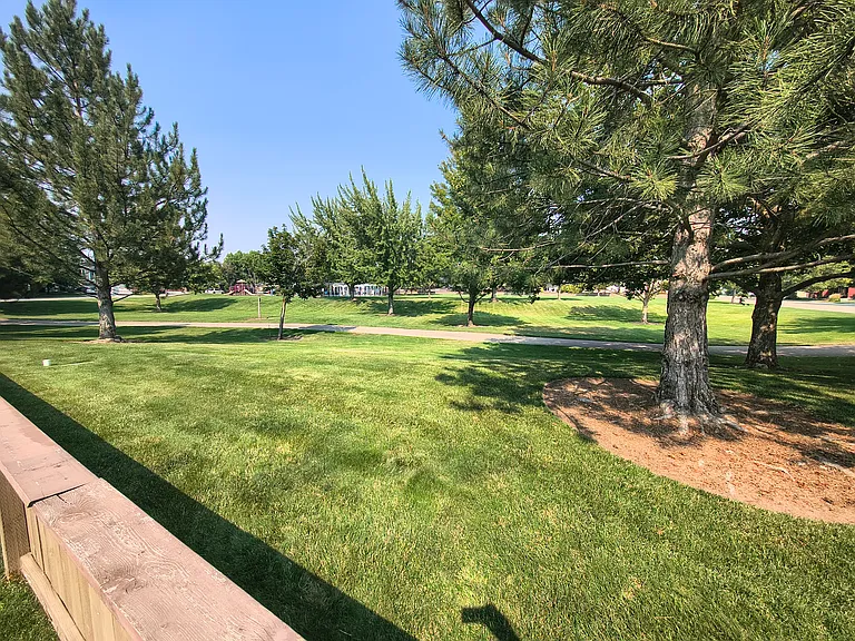 Open Space next to yard