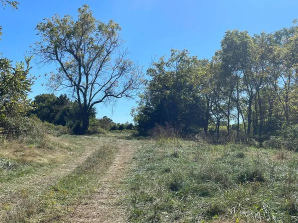 6312 County Road W76-436, Ava, MO 65608