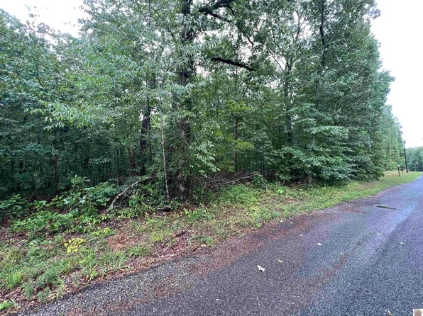 0 Newman Dr, New Concord, KY 42076