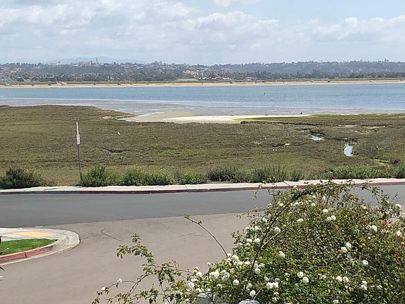 View of bird reserve.