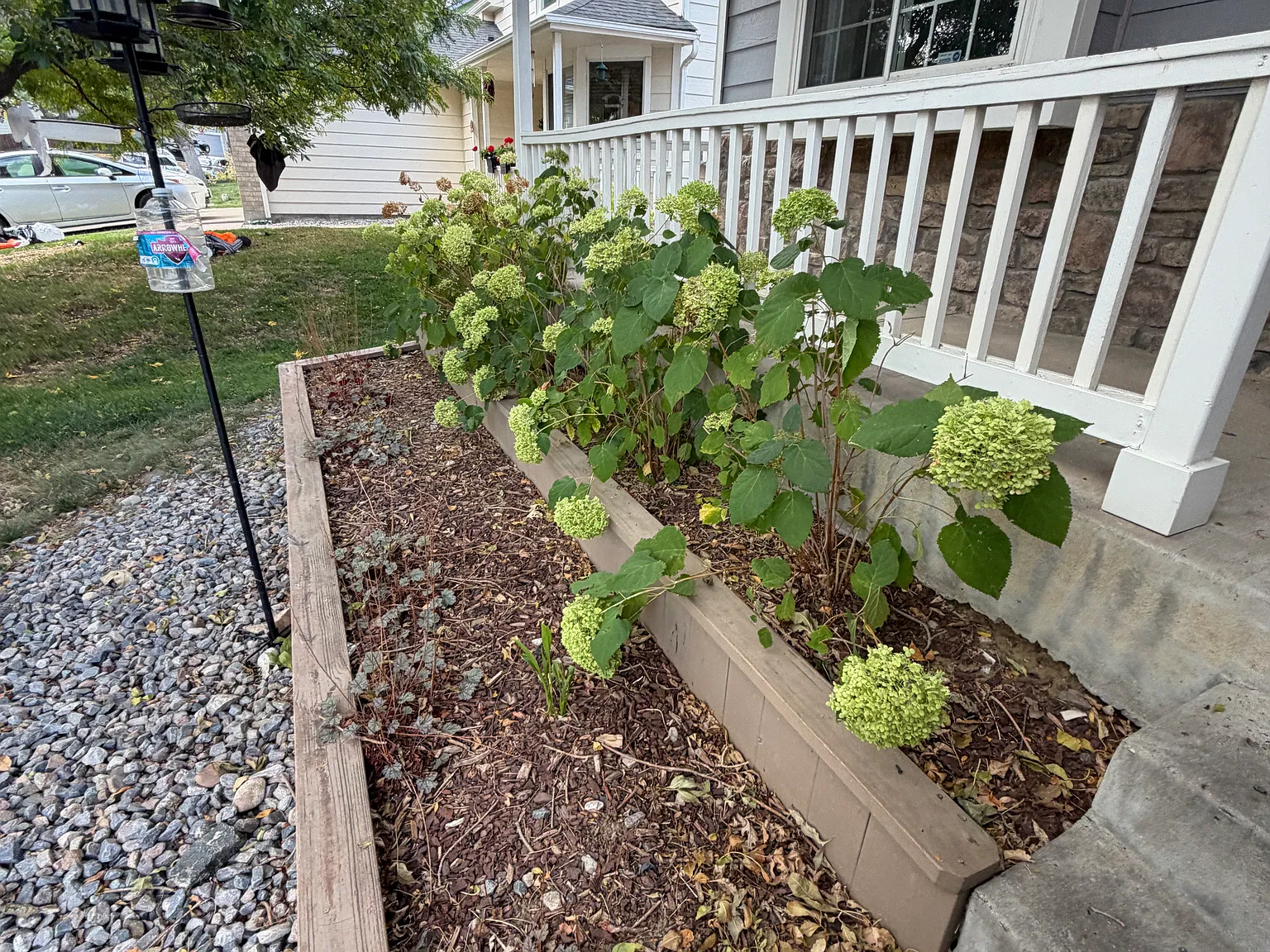 3 bed, $2,300 — Photo 2