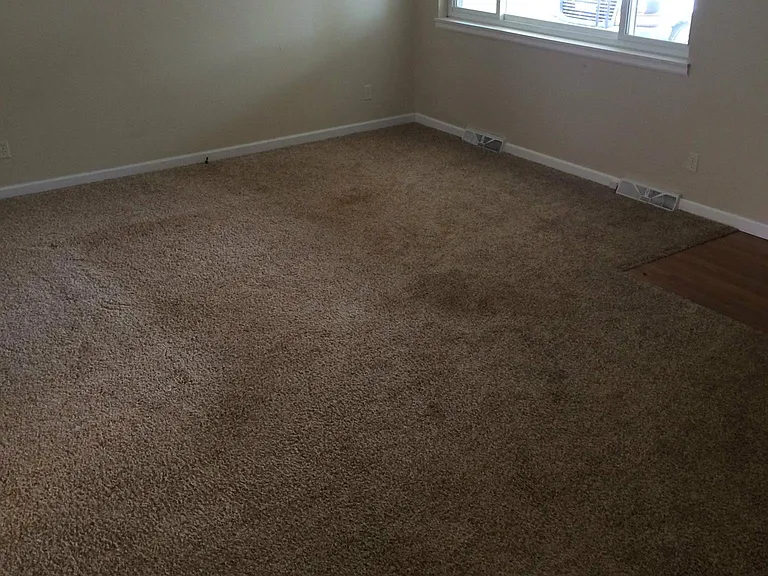 1438 Linden St — Photo 4