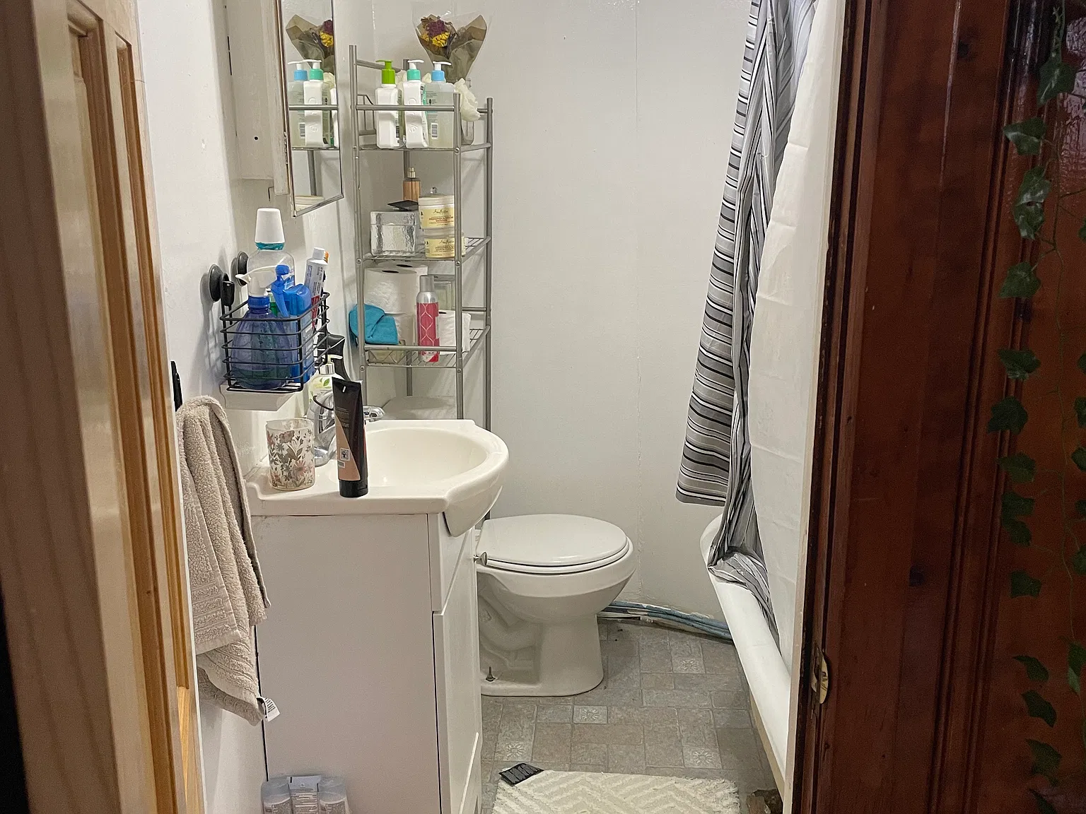 1 bed, 600 sqft, $800 — Photo 4
