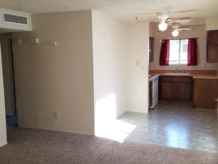 Kitchen / Living Area