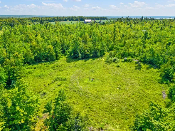 V/l Farrier Rd, Hillman, MI 49746