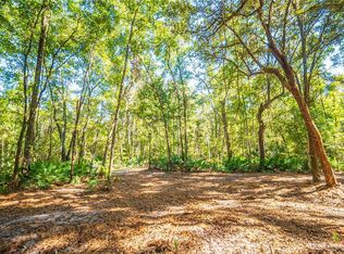 21490 NW 106th Court Rd LOT 2, Micanopy, FL 32667