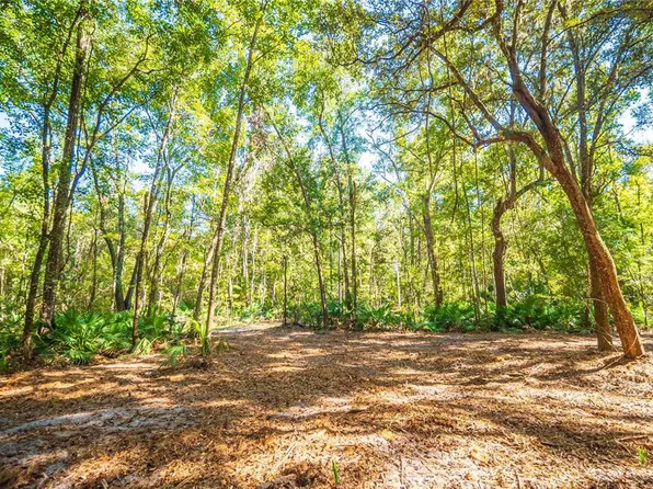 21490 NW 106th Court Rd Lot 2, Micanopy, FL 32667
