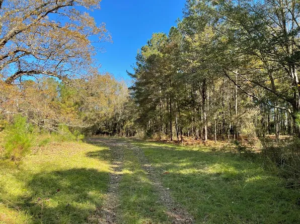 354 Hagler Rd, Pine Mountain, GA 31822