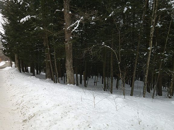 2nd image of 0 Plot Road #2