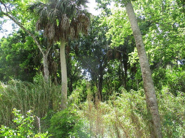 2nd image of 000 SW Citrus Boulevard