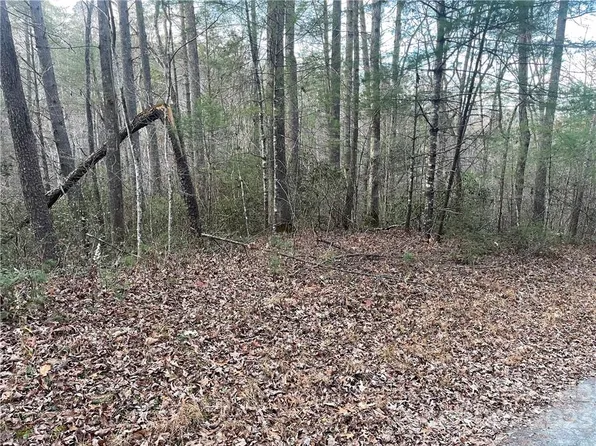 0 Doves Way #49-1-50, Lake Lure, NC 28746