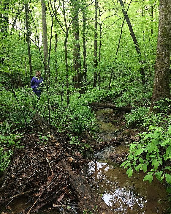 1st image of Mountain Creek Way