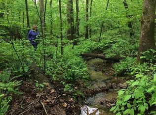 Mountain Creek Way, Ellijay, GA 30536