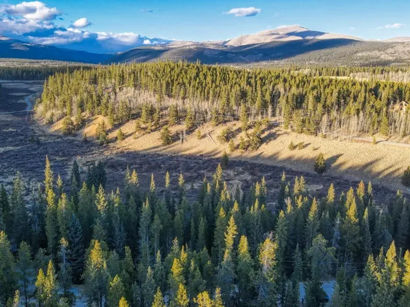 242 Pine Ridge Rd, Alma, CO 80420