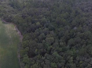 0 Highway 17 N, Guyton, GA 31312