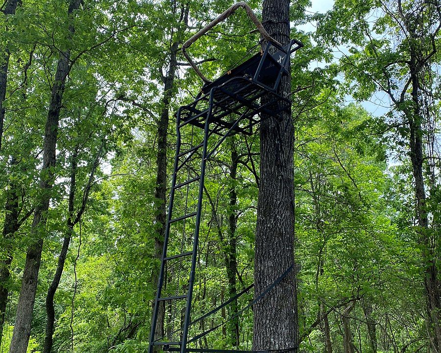 2 Plum Tree Trl Norfork AR Zillow