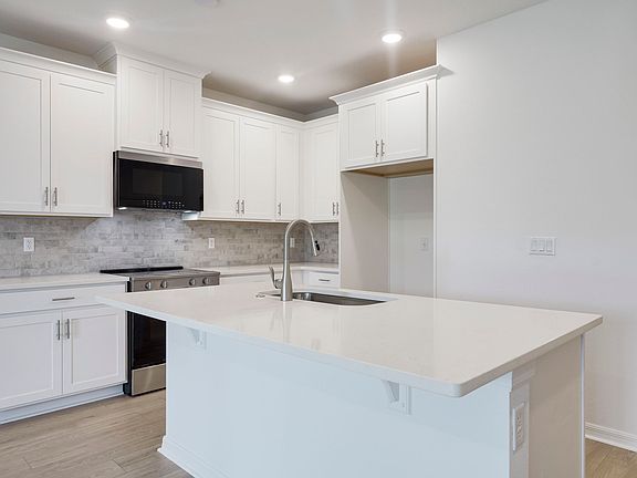 Holly Kitchen