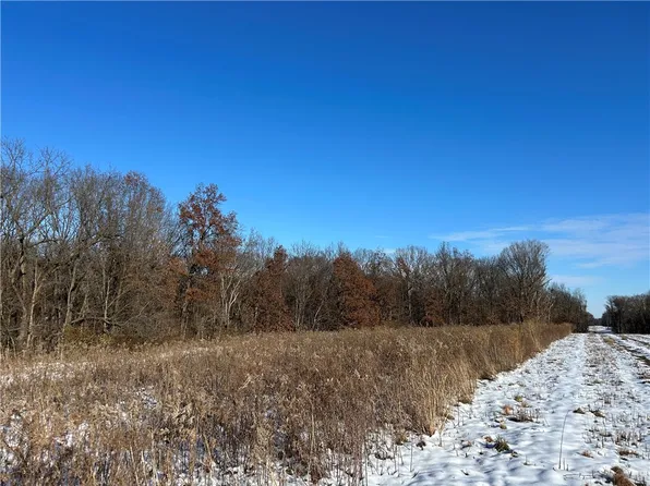 TRACT 2 E 950 North Rd, Lakewood, IL 62438