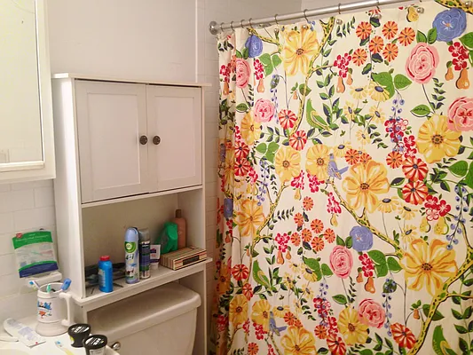 Rented by Sunrise Real Estate | media 33