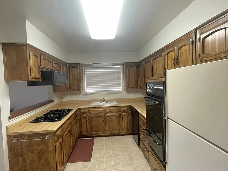 4929 Sparrow Hawk Ln — Photo 3