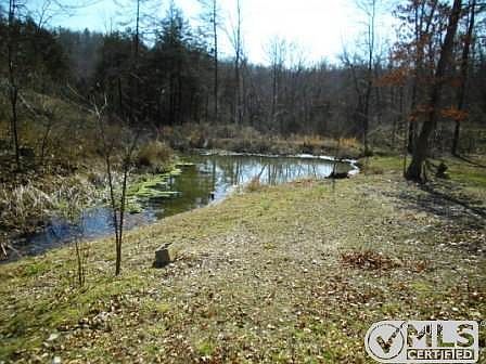 Spring fed pond