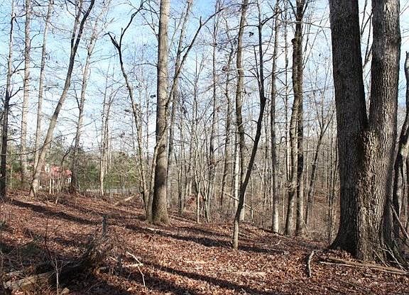 3rd image of 6917 Hickory Springs Dr