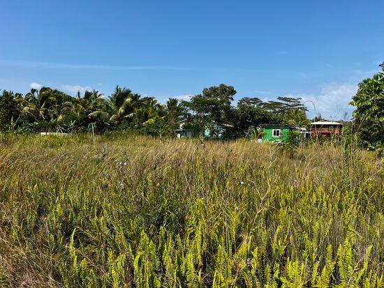 Kehauopuna St Lot 249, Pahoa, HI 96778