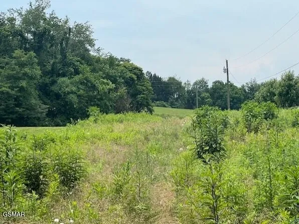 14 Pleasant View Cemetery Rd Lot 10.16, New Market, TN 37820