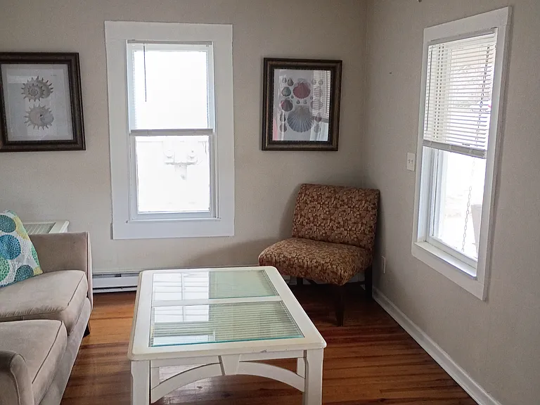 Furnished living room