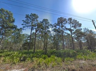 10610 Yeager Ave, Hastings, FL 32145