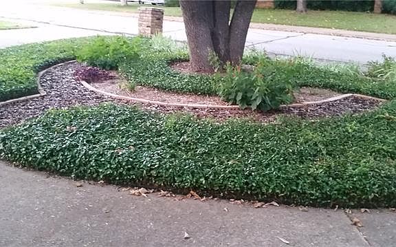 2nd image of 1143 Greenway Dr