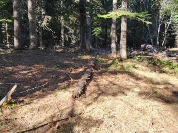 0 Black Pine Ln, Weston, OR 97886
