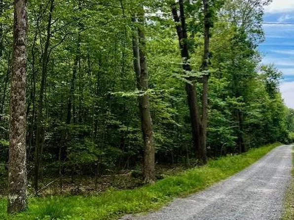 Lots 57&58 Linden Ln #57-58, Rockwood, PA 15557